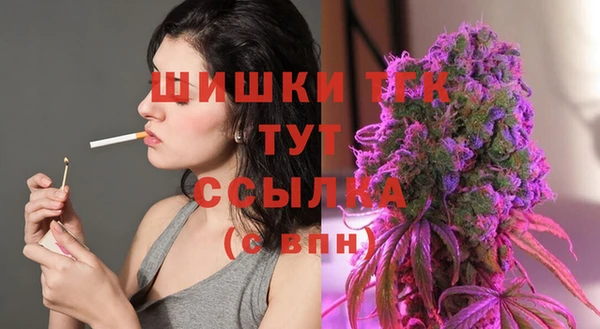 ECSTASY Коряжма